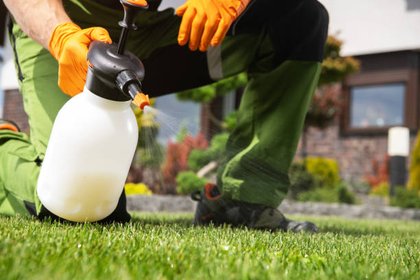  Sallisaw, OK Pest Control Pros