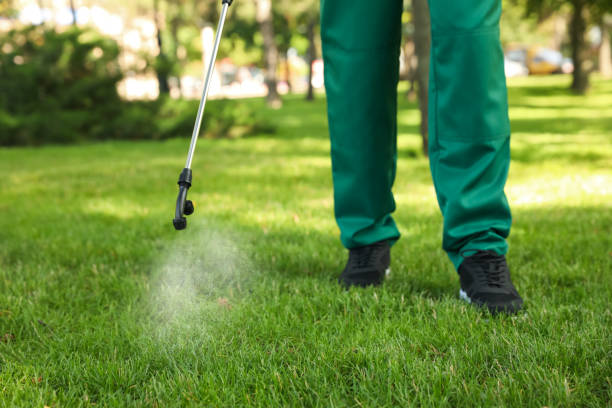 Best Pest Inspection Near Me  in Sallisaw, OK