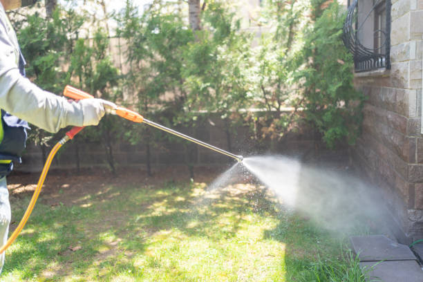 Best Termite Control Services  in Sallisaw, OK