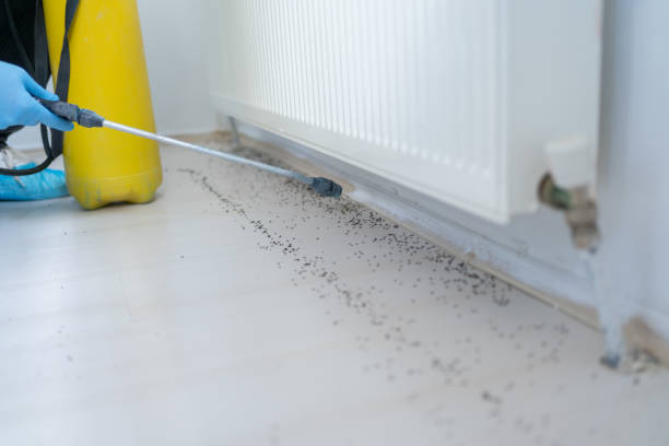 Best Rat Extermination Near Me  in Sallisaw, OK