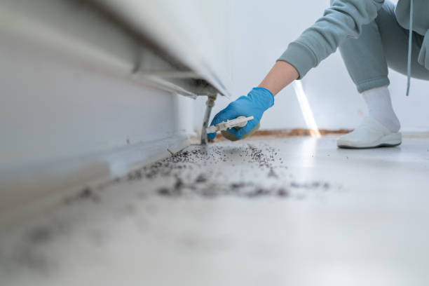 Best Emergency Pest Control  in Sallisaw, OK