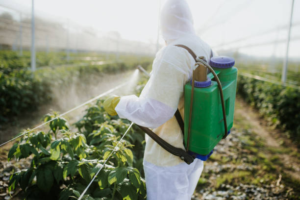 Trusted Sallisaw, OK Pest Control Experts